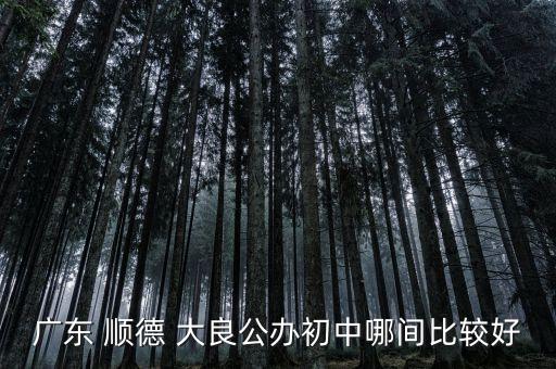 顺德大良学区房买哪里好