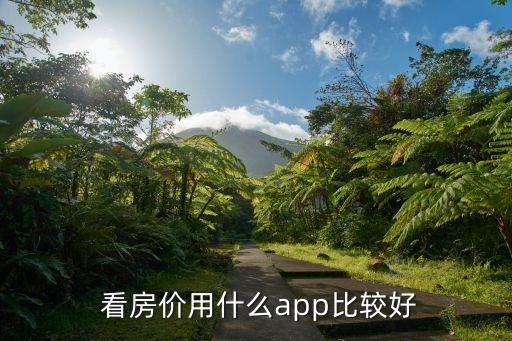  看房价用什么app比较好