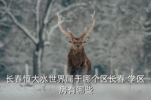 长春恒大水世界属于哪个区长春 学区 房有哪些