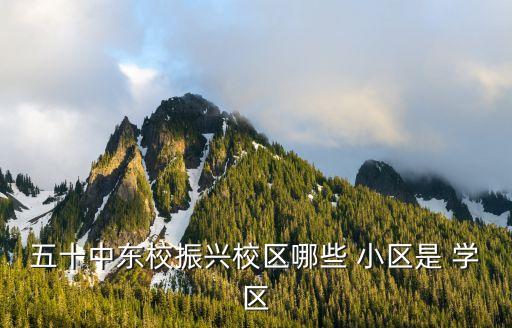 五十中东校振兴校区哪些 小区是 学区