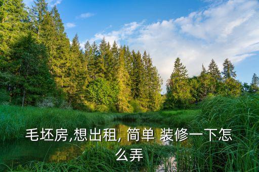 毛坯房,想出租, 简单 装修一下怎么弄