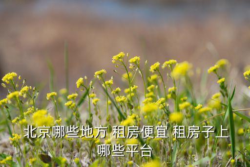  北京哪些地方 租房便宜 租房子上哪些平台