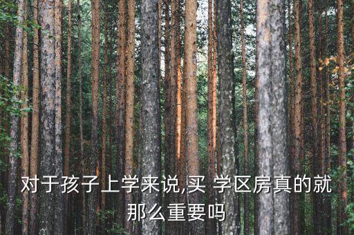 对于孩子上学来说,买 学区房真的就那么重要吗