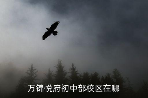 万锦悦府初中部校区在哪