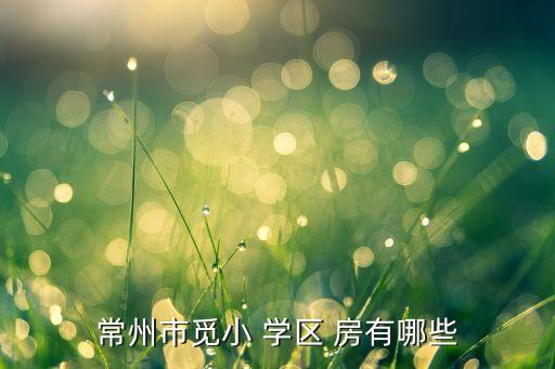 常州市觅小 学区 房有哪些