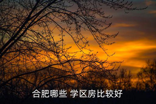 浦和哪里学区房最好最便宜,天津滨海新区学区房哪里最好