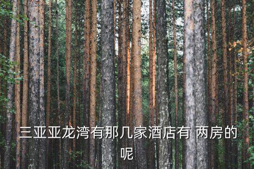 三亚房子出租两房一厅,来宾出租房子两房一厅400元