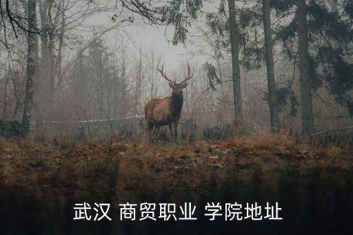 武汉商贸学院学区房有哪些