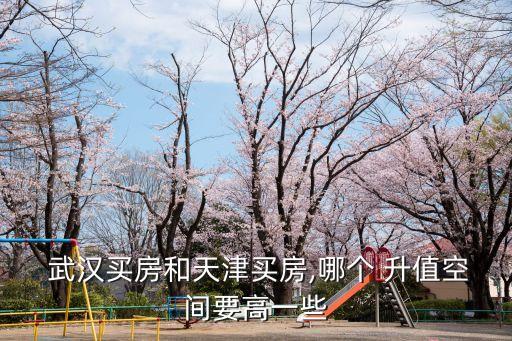 武汉哪个地方房子升值潜力大,武汉房价跌得最惨的区域