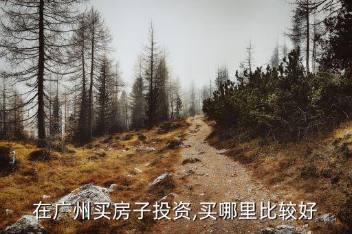在广州买房子投资,买哪里比较好