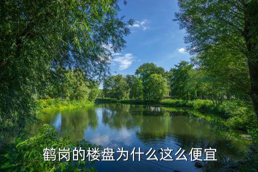 鹤岗的楼盘为什么这么便宜