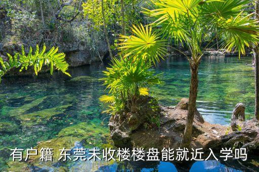 买东莞房怎么入户上学区,东莞买房入户条件最新政策2023年
