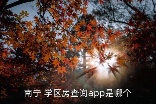 南宁 学区房查询app是哪个