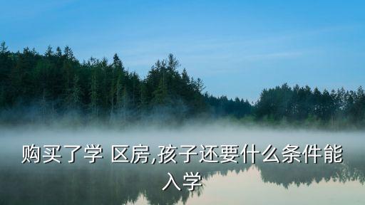 购买了学 区房,孩子还要什么条件能入学