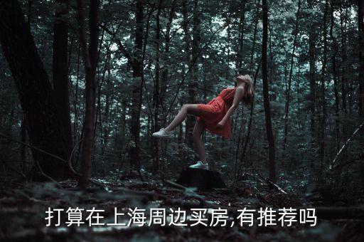 打算在上海周边买房,有推荐吗