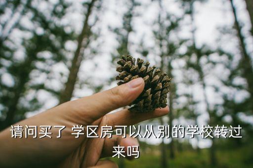 请问买了 学区房可以从别的学校转过来吗