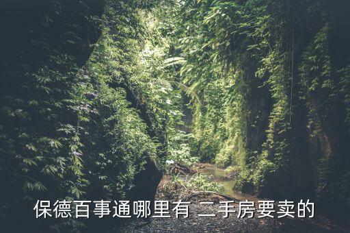 保德百事通哪里有 二手房要卖的