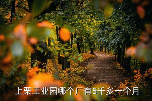 上栗哪个房园属于学区房