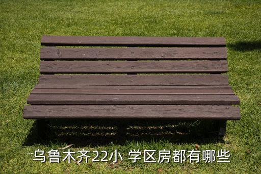  乌鲁木齐22小 学区房都有哪些