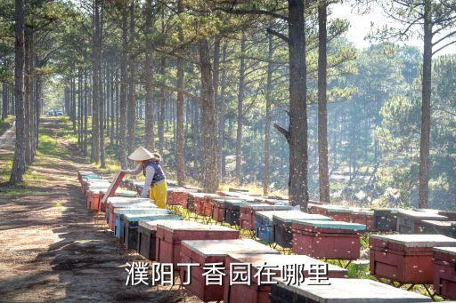 濮阳市市一中学区房有哪些