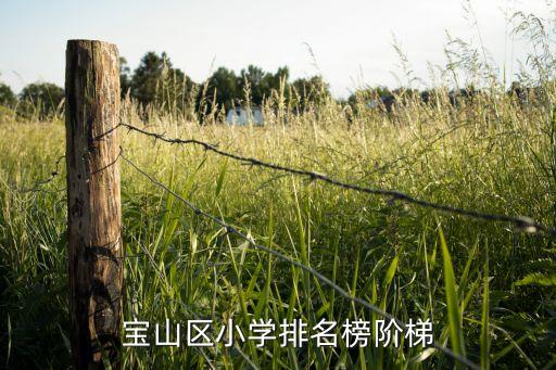 宝山区小学排名榜阶梯