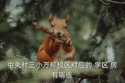 中关村三小万柳校区对应的 学区 房有哪些