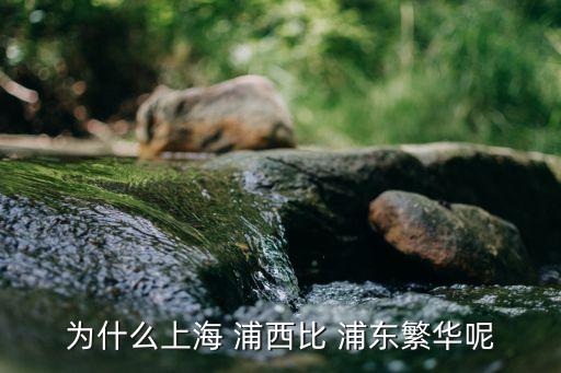 为什么上海 浦西比 浦东繁华呢
