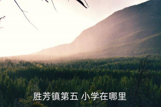 胜芳镇第五 小学在哪里
