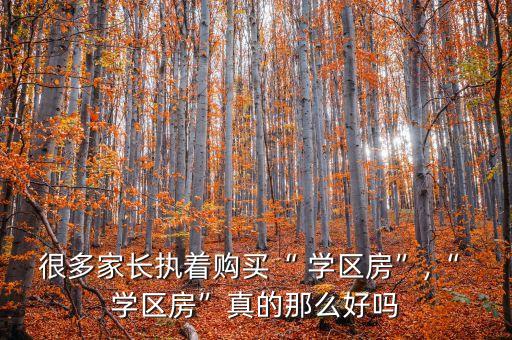 很多家长执着购买“ 学区房”,“ 学区房”真的那么好吗