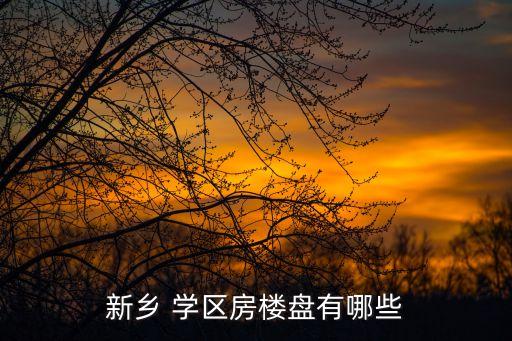 新乡 学区房楼盘有哪些