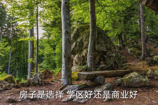 学区房超宽楼间距怎么办