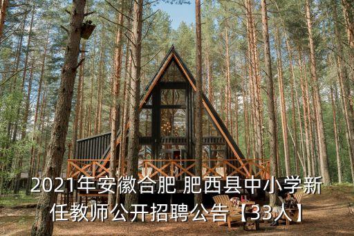 2021年安徽合肥 肥西县中小学新任教师公开招聘公告【33人】