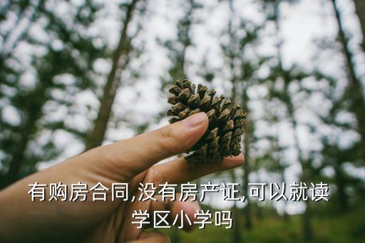有购房合同,没有房产证,可以就读 学区小学吗
