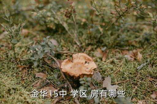 幸福里十一路学区房有哪些