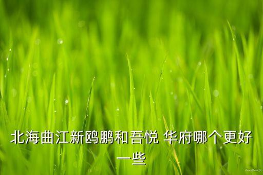 吾悦华府和学区房哪个好,连云港吾悦华府学区