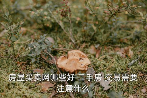 房屋买卖网哪些好 二手房 交易需要注意什么