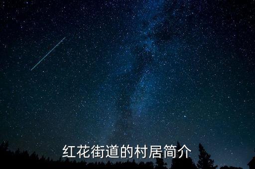 红花街道的村居简介