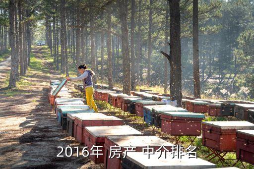 广州房产中介口碑哪家最好,哈尔滨房产中介口碑哪家最好