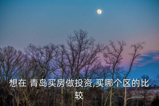 想在 青岛买房做投资,买哪个区的比较