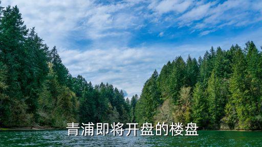  青浦即将开盘的楼盘