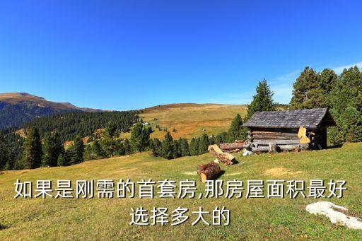 如果是刚需的首套房,那房屋面积最好选择多大的