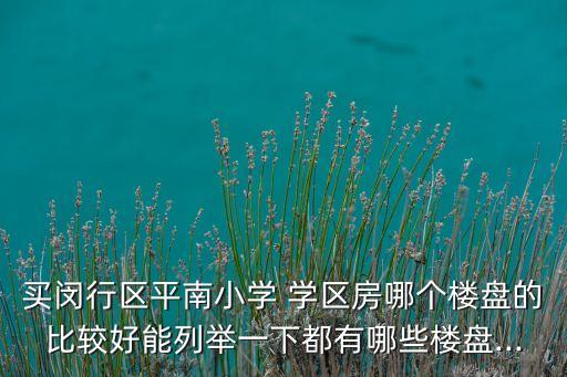 买闵行区平南小学 学区房哪个楼盘的比较好能列举一下都有哪些楼盘...