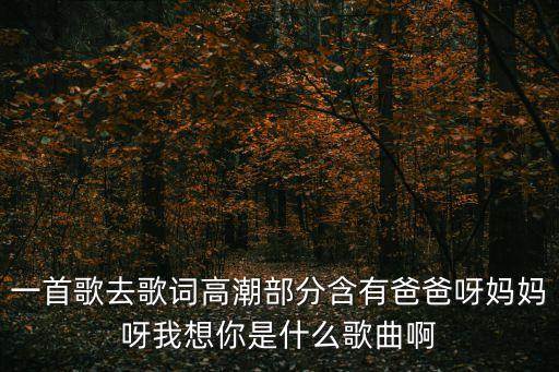 一首歌去歌词高潮部分含有爸爸呀妈妈呀我想你是什么歌曲啊
