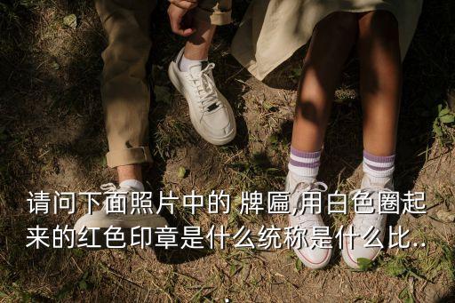 请问下面照片中的 牌匾,用白色圈起来的红色印章是什么统称是什么比...