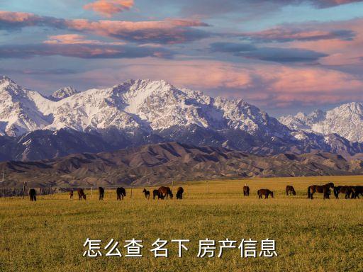 自己名下房产查询,哪个网站可以查自己名下的房产