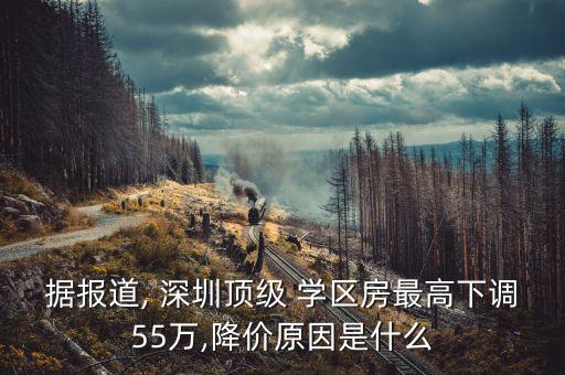 据报道, 深圳顶级 学区房最高下调55万,降价原因是什么