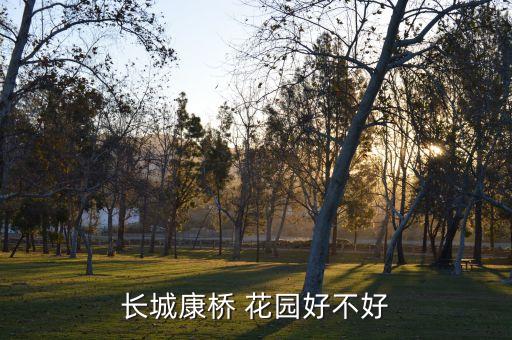 长城康桥 花园好不好