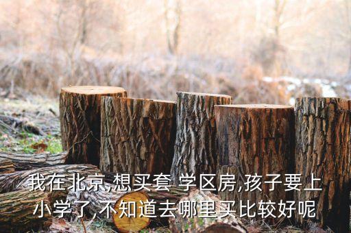 我在北京,想买套 学区房,孩子要上小学了,不知道去哪里买比较好呢