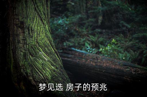 梦见选 房子的预兆