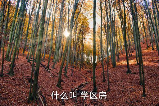 什么叫 学区房